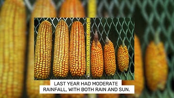 Prevention of drought - EcoPatents Original