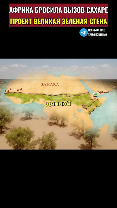 Африка бросила вызов Сахаре. Проект зеленая стена. - YouTube