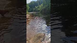 cold water therapy