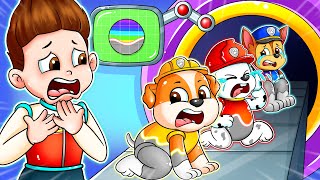 BREWING CUTE \& CUTE BABY!!! - Missing Color Baby Factory - Paw Patrol Ultimate Rescue - Rainbow 3