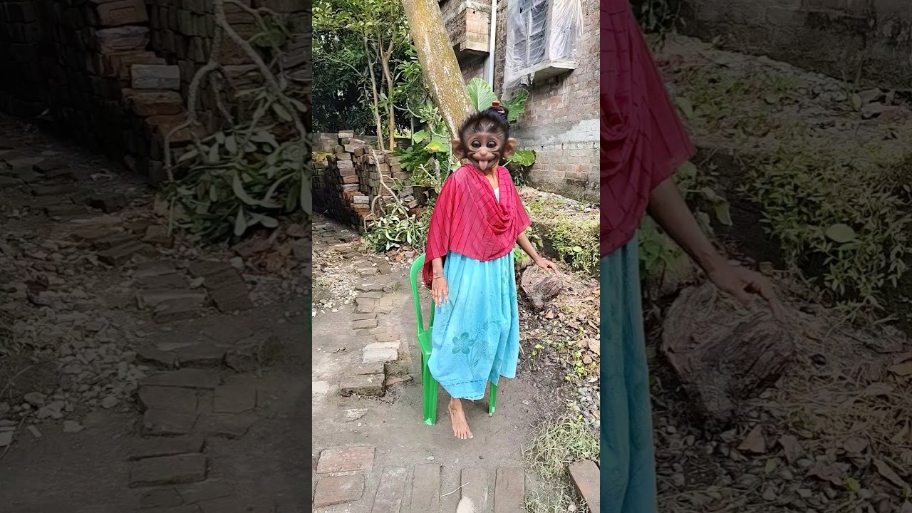 😱😂🙈🙈🙊🙊ОРИГИНАЛЬНАЯ АМЕРИКАНСКАЯ ЖЕВАТЕЛЬНАЯ РЕЗИНКА DUBBL (3 ФРУКТОВЫХ ВКУСА) И...