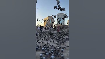 أذكار الصباح #مسجد_الغمامة #المسجد_النبوي #اكسبلور #love
