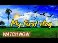 My First Vlog | Saima Ali Education Channel Introduction | 