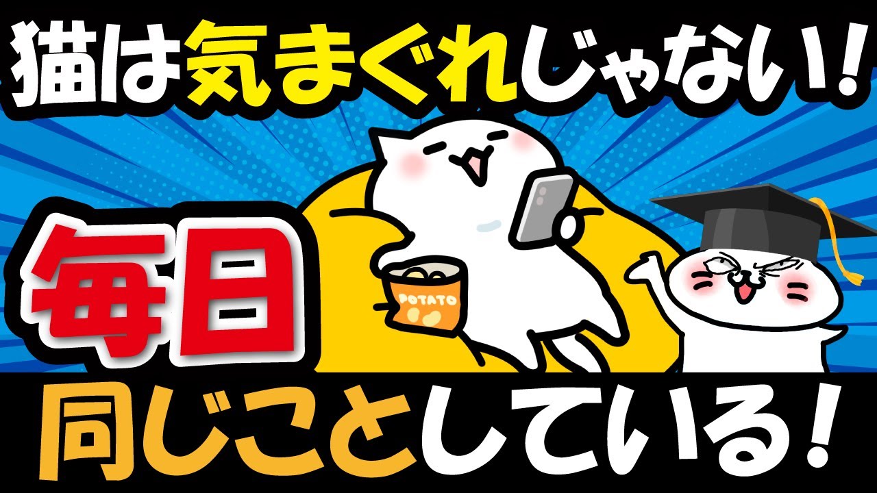 猫は気まぐれじゃない！実は“毎日同じ行動”で生きている理由