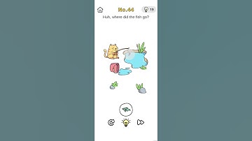 brain out crazy find level 44 | #shorts