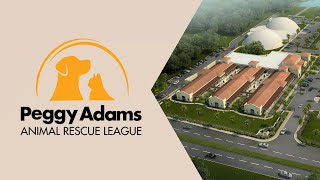 Peggy Adams Animal Rescue League | Virtual Adoption Center Tour