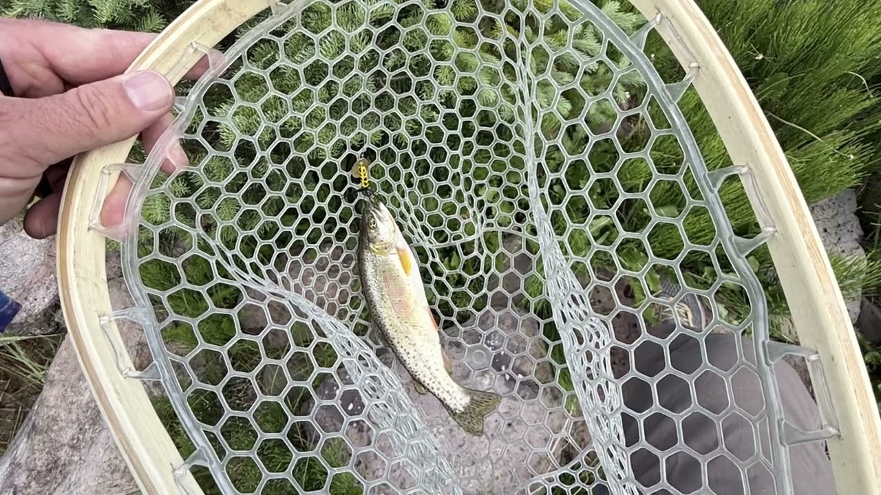 Battlement Mesa Reservoirs 7/8/25