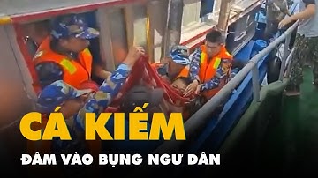 Cá kiếm đâm vào bụng ngư dân khi đang khai thác hải sản