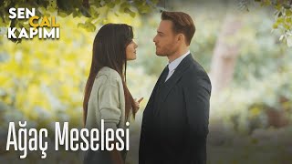 Ağaç meselesi - Sen Çal Kapımı Resimi