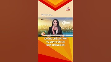 KHỐNG CHẾ KỊP THỜI VỤ CHÁY LỚN TẠI NHÀ XƯỞNG Ở ĐÀ NẴNG  #luotvtvgo #tintuc #news