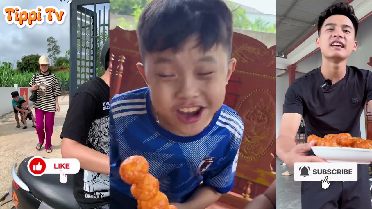 Tổng Hợp Các Video Hay Nhất Kênh Tippi TV Phần 8 - Tippi TV #tippitv