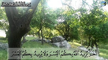 (شهر رمضان الذي انزل فيه القرآن ) تلاوة رائعة للشيخ عبدالله الموسى من سورة البقرة