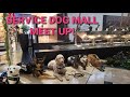 SERVICE DOG MEET UP FRANKLIN PARK MALL!!!