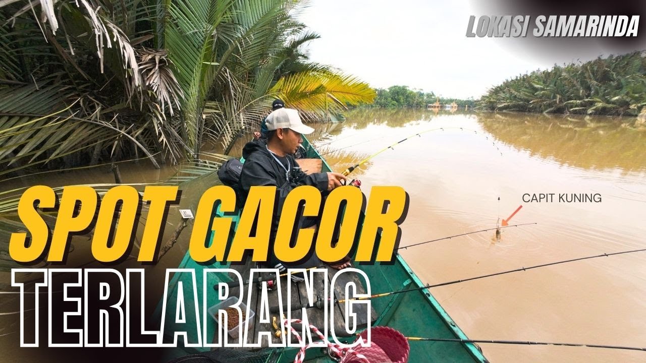 Memancing Udang Galah !! Spot Terlarang Lokasi Gacor UJARNYA/KATANYA  Udangnya Galah Galah Kita Tes.