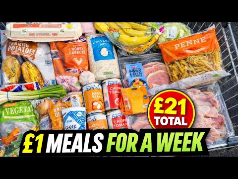 A Week of 1 Meals limited Budget Food Challenge