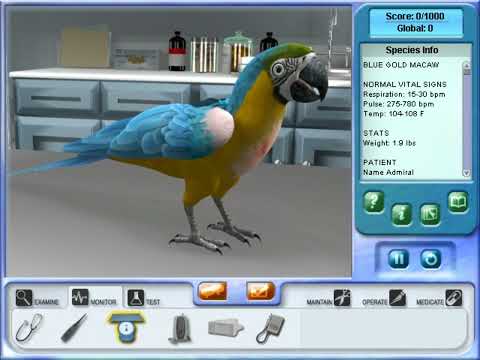 Pet Pals: New Leash On Life (2008) OST - Night Walk