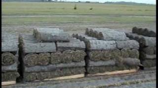 Brouwer RoboMax II Automatic Roll Sod Harvester