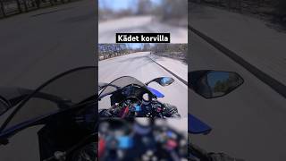 Tehään Suojatiestä Suojatie