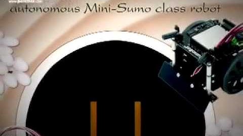 Parallax Perspective: SumoBot Robot Competition Kit