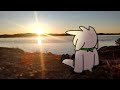 Middle of video