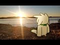 End of video
