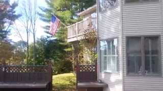 461 Garland St. video tour