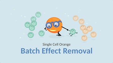 Single Cell Orange 06: Batch Effect Removal