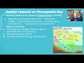 Watersheds and Water Quality: Exploring Ecosystem Dynamics and Nutrient Management