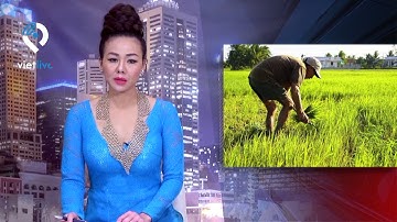 Hồ trữ nước ngọt lớn nhất miền Tây nhiễm mặn, dân Bến Tre lao đao