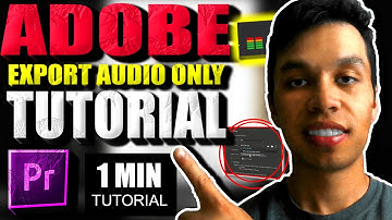 Adobe Premiere Pro Export Only Audio Not The Video Fix - Tutorial (2025)