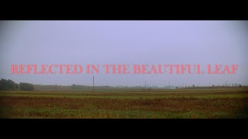 Downcutting Streams - Reflected in the beautiful leaf