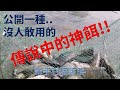 一種免費的神餌_只要你敢用_就會灌香腸!A free magic bait _ as long as you dare to use it _ will catch a lot of fish!新手村