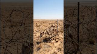 The Moment Jesus Came… Everything Changed 😳#jesus#viralshorts#emotional #faith#trending#blessing#god