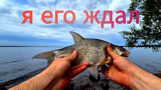 Рыбалка на Московском море Разведка старых мест