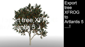Export tree XFROG to Artlantis 5.
