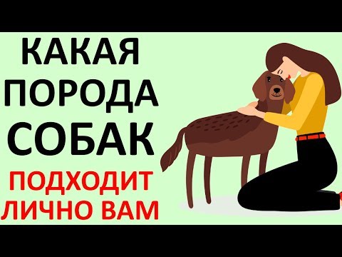 ТЕСТ! КАКАЯ Собака ПОДХОДИТ Именно ВАМ