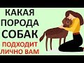 ТЕСТ! КАКАЯ Собака ПОДХОДИТ Именно ВАМ