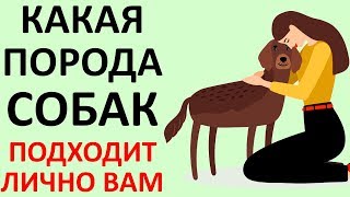 ТЕСТ! КАКАЯ Собака ПОДХОДИТ Именно ВАМ