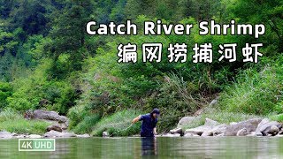 Fried River Shrimps with Chives丨韭菜炒河虾丨4K UHD丨小喜XiaoXi丨阳光灿烂的日子，上山转转，心情也跟着明朗了起来