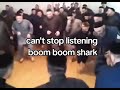 Boom Boom Shark بوم بوم شارك