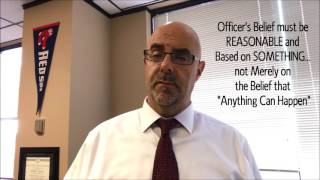 Understanding Police Brutality & The Constitution: What to Look For