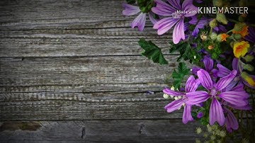 راحة نفسية ، سورة يوسف | خالد الجليل | قرآن كريم | quran