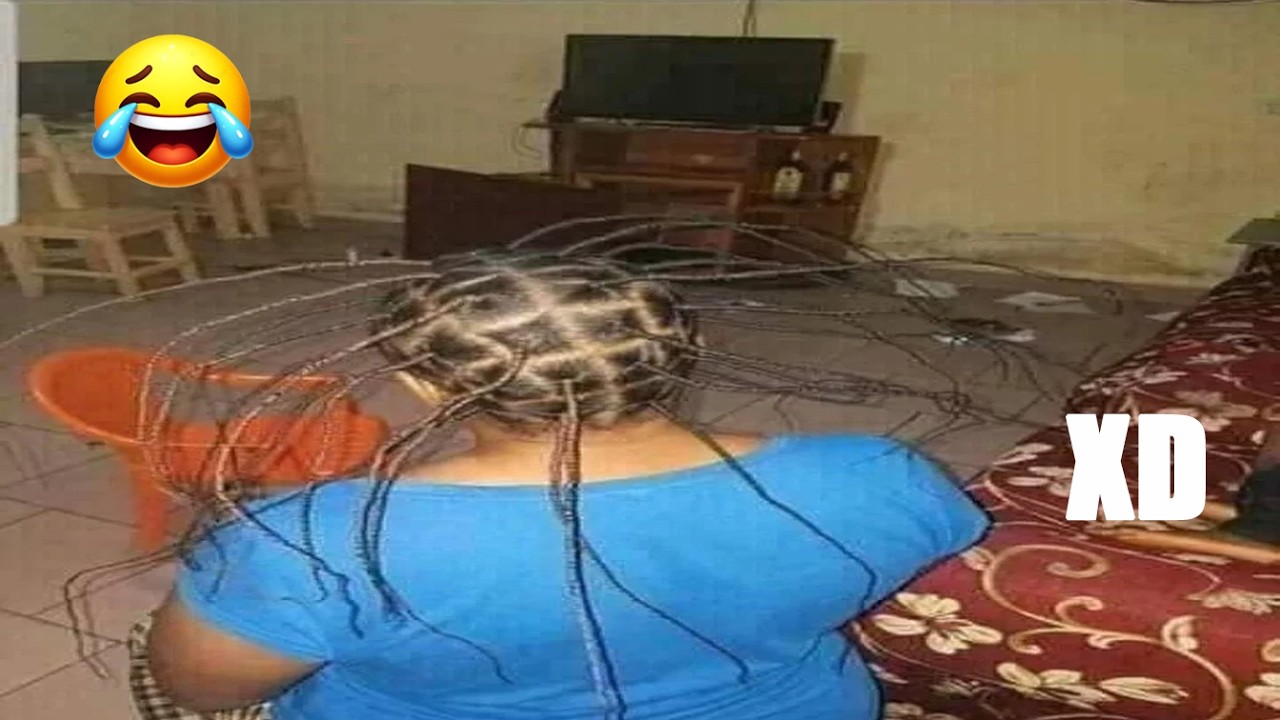 SI TE RÍES PIERDES NIVEL UNIVERSAL 😂🤣 (999.999 % IMPOSIBLE NO PODER REÍRSE) 🤯 Videos Muy Graciosos