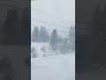 #雪 ❄️☃️❄️#山形県#吹雪