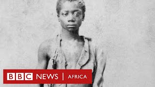 Top 10+ where did slaves come from in africa