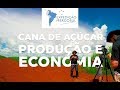 CANA-DE-AÇÚCAR, plantio, produção e economia - Expedição [#07]