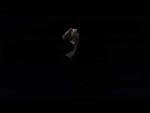 Greater horseshoe bat (Rhinolophus ferrumequinum) flying, catching a moth, Germany