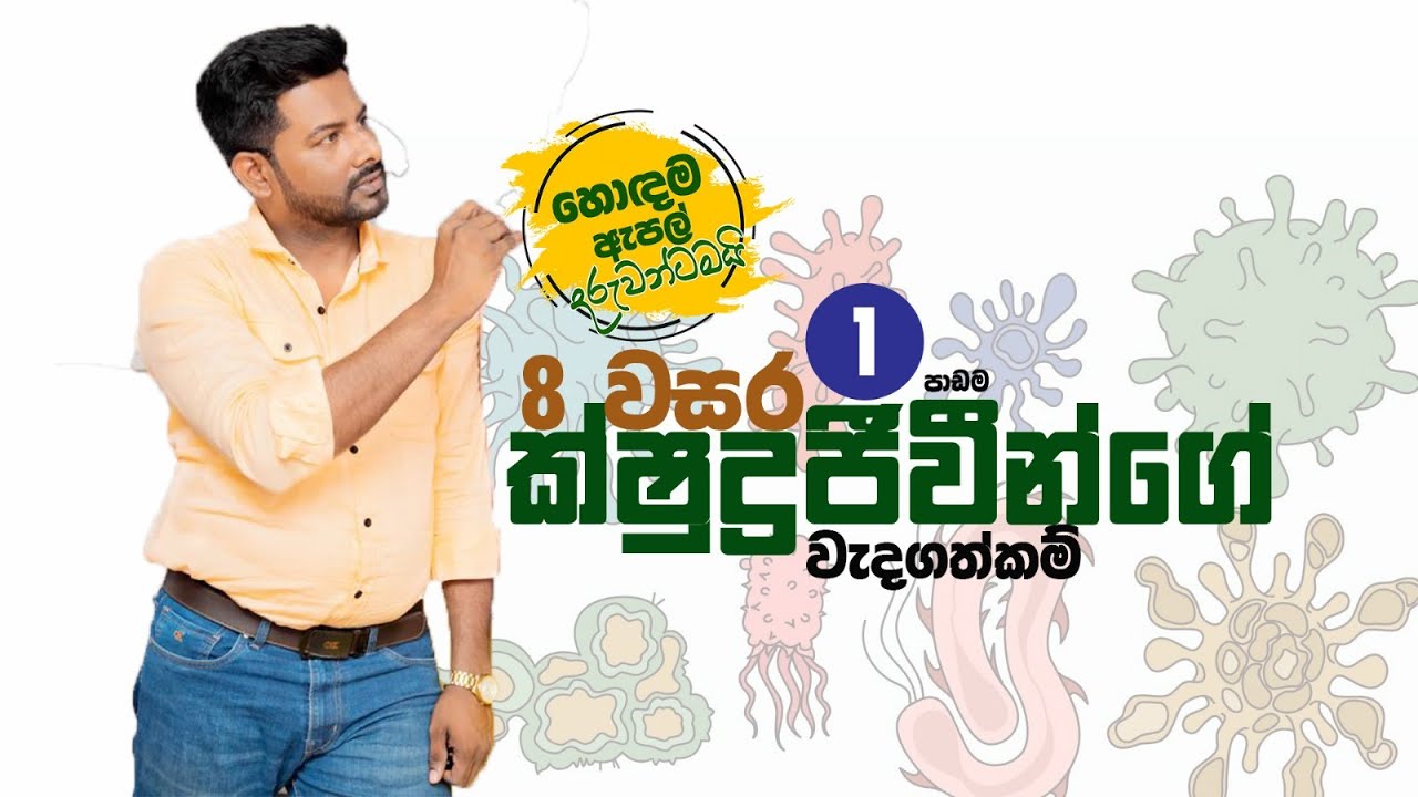 කශුද්‍ර ජීවීන්ගේ වැදගත්කම | 1st LESSON || GRADE 8 SCIENCE || 2026  - CLIP 3