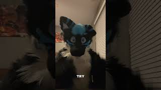 Discussing the current state of the fandom and my suit. 