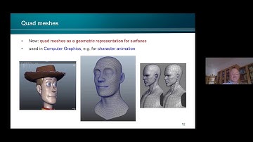 Helmut Pottmann - Quad-mesh based mappings between surfaces